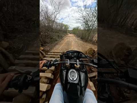 Quase cai com a moto no buraco😱