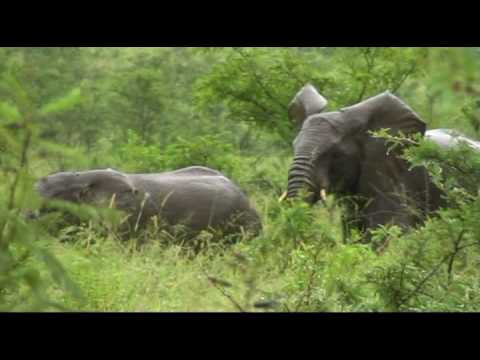 Willkommen in Südafrika - Teil 4/4