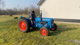 Fordson Dexta wheel tractor | Image 4 - Agroline