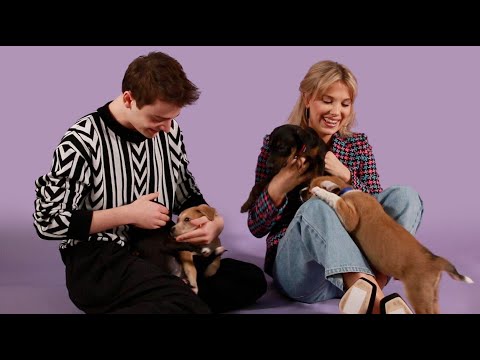 The Cast of Stranger Things Plays With Puppies