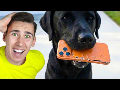 PAS MI JE POJEO NOVI IPHONE 17! 