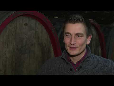 Rebe und Traube - Vom Biertrinker zum Weingeniesser