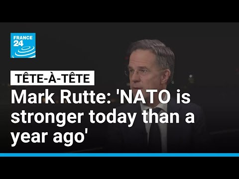 'NATO has been woken up by President Trump, and it's stronger because of it': Mark Rutte