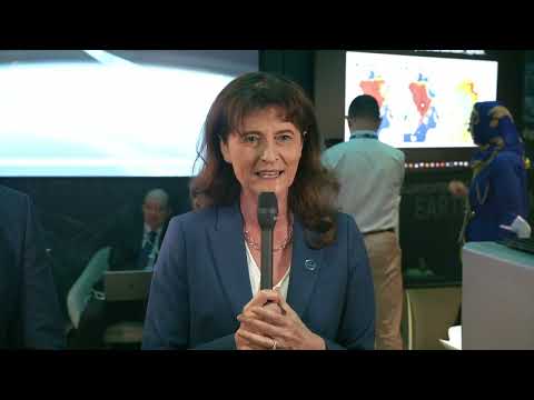 Using Meteosat Third Generation data - Florence Rabier