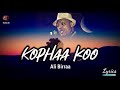 Ali Birra Kophaa Koo Na Dhiiftee Ethiopian Oromo Music With Lyrics Walaloo Official Video