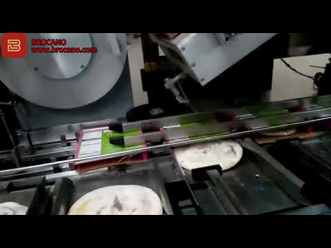 Fully Auto Cartoning Machine(For food packing) 