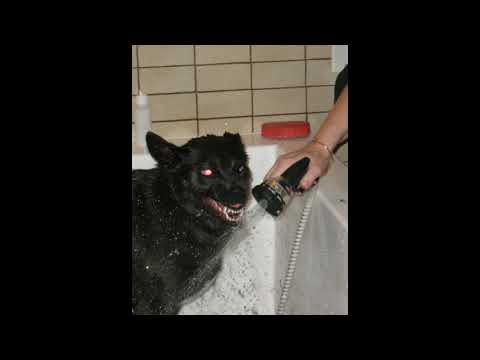 (FREE) Blocboy JB x Hoodrich pablo juan x Sada baby "Scumm" 120bpm prod by hikeey