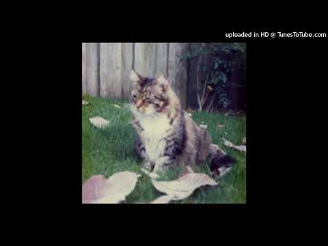 Lynch, Ray - No Blue Thing