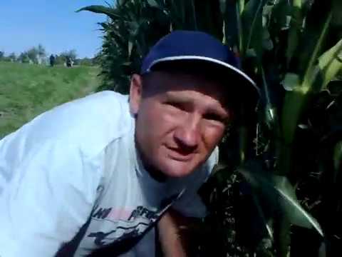 Chwalą się  uprawą Marihuany