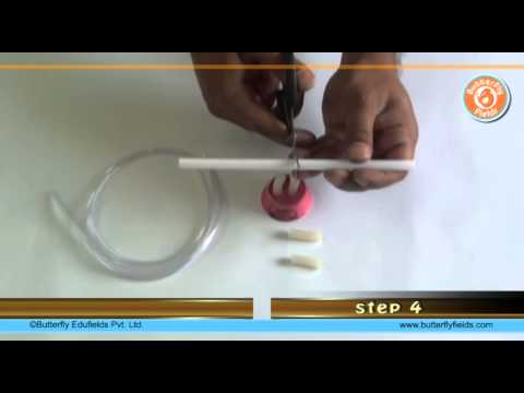 Listen to the Rhythm! The Secret of Your Heartbeat