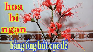 ỐNG HÚT /làm hoa bỉ ngạn bằng ống hút