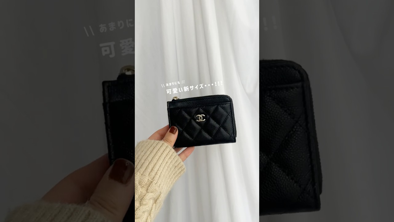 ミニミニな新サイズ🖤CHANEL大人気フラグメントケース #shorts #wallet #ミニ財布 #財布