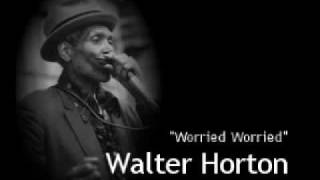 "Worried Worried" - Big Walter Horton & Nancy Nash (Vocals)