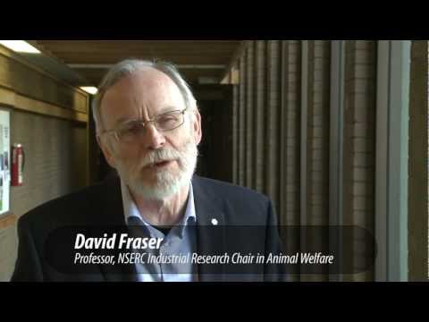 Dr. David Fraser, Animal Welfare Program | UBC Land and Food Systems Video