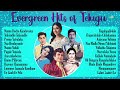 Evergreen Hits Of Telugu Nannu Dochu Kunduvatey Telisindile Telisindile Prema Yatralaku