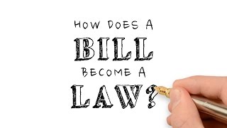 How Does a Bill Become a Law?