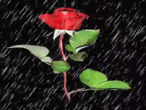 Seda Tripkolic Ft  Nakris - Dudaklarımsa Müptelan