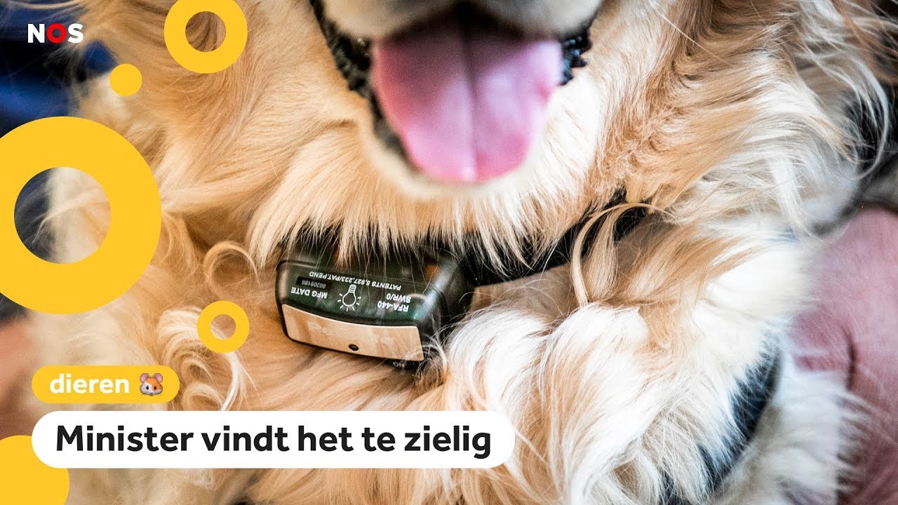 Halsband die honden stroomschok geeft wordt verboden