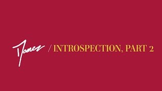 Damez - Introspection, Part 2