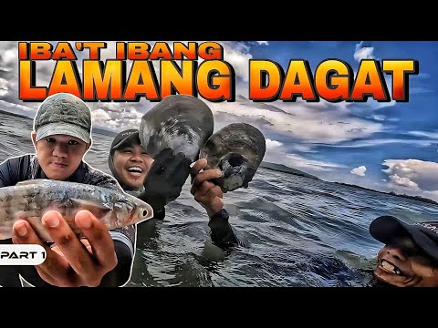 EP986-P1 - Nanghuli ng Iba't Ibang Seafoods