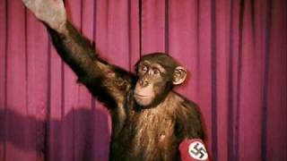 The Casualties - Leaders Of Today