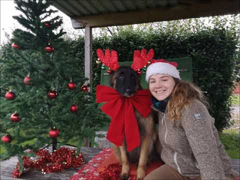 Adventsvideo 2019 HSV M-H