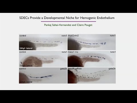 Genomics - Sanford Stem Cell Symposium