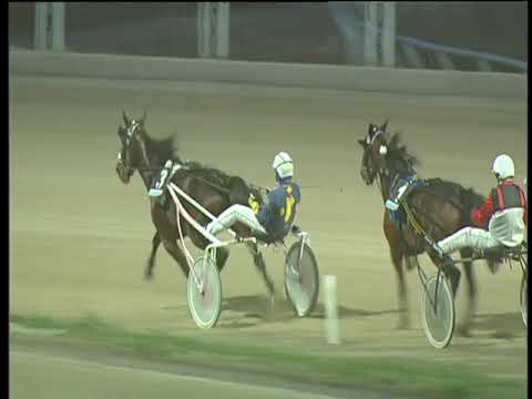 Trotto 09/01/2018 - 4ª corsa