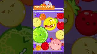 【#スイカゲーム 】カボチャできた
