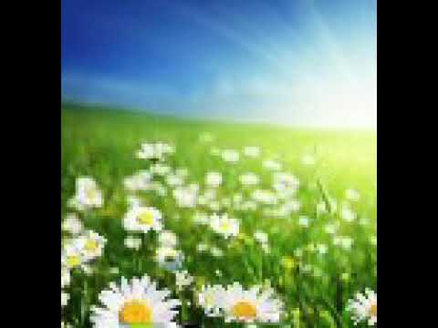 Jan Brzechwa- Wiosenne Porządki czyta Beata Dańkowska