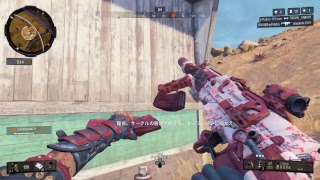 二度目の配信　bo4ブラックアウト