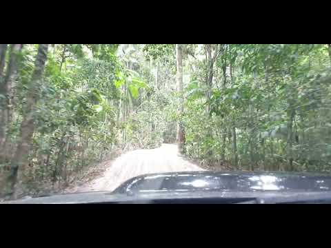 Driving Inland Tracks On Fraser Island. What to expect...?