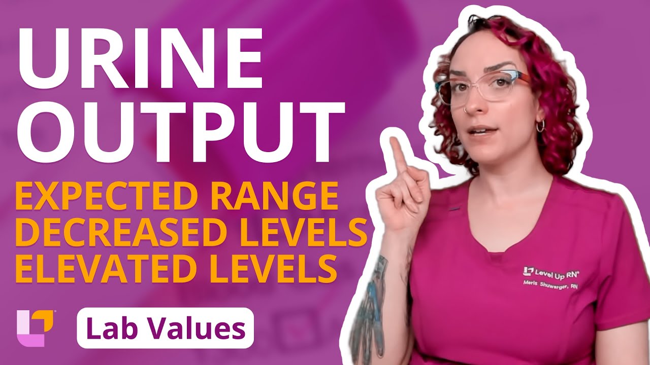 Urine Output: Adult Lab Values for Nursing Students| @LevelUpRN