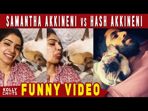 Samantha Akkineni Making Fun with her Dog Hash Akkineni | Naga Chaitanya | Funny Video | Kolly Chats