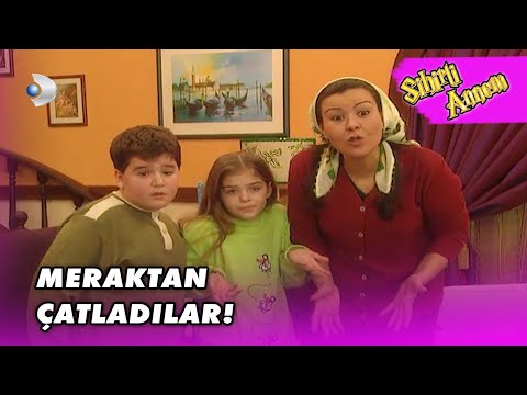Çilek Hiçbir Şey Anlatmadı! - Sihirli Annem 47. Bölüm