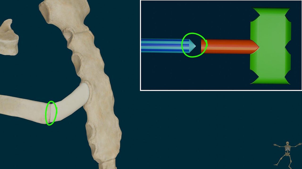 Biomecanica del Tórax