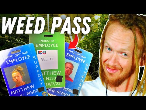 🌱You Can't Get A w33d Job Without THIS Card | How To Get A MED Badge
