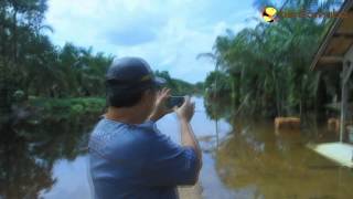 preview picture of video 'Pemkab Muba Tinjau Akses Jalan Desa Terendam Banjir'