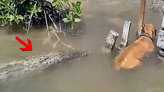 Isso Foi Realmente Filmado