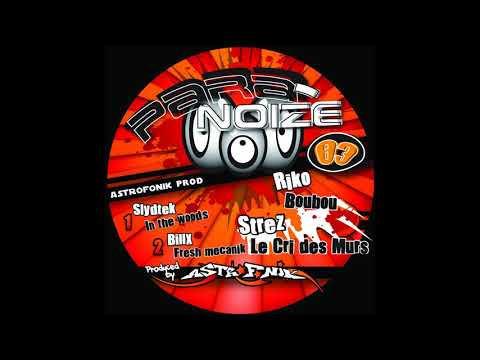 SLYDTEK, BILLX, RIKO, STREZ - Paranoize 03