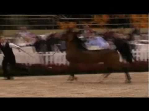 Drabant  Czempionat Europy  2010