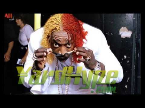 Elephant Man  Gal Settings