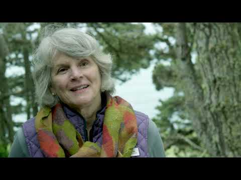 California Coastal Trail - Pelican Bluffs