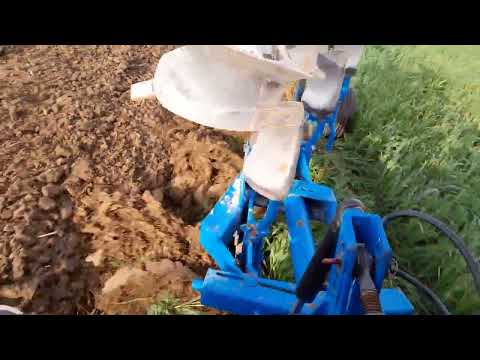 Żyzna gleba to podstawa do dobrego plonu.