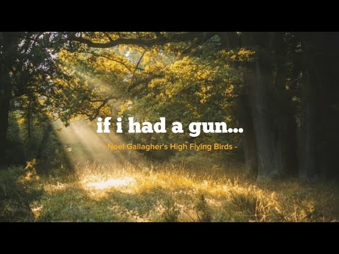 Noel Gallagher's High Flying Birds - If I Had a Gun... (Lirik Terjemahan Indonesia)