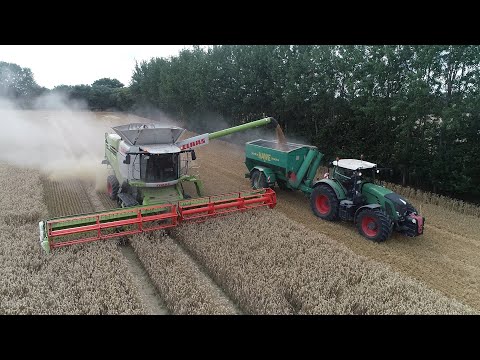 Weizen Ernte an der Ostsee / 2x Lexion 770TT / Gut Schmoel