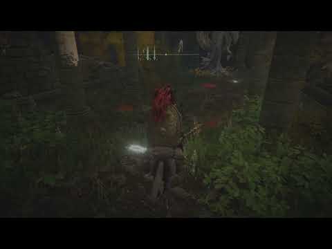 ELDEN RING - Thops Barrier