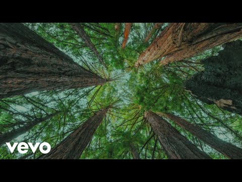 slenderbodies - moods (Official Audio)