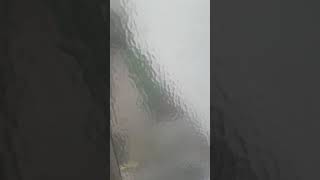 Reparación efectiva y code p1528 Volkswagen