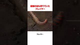 最強の虫も育てていたプレイヤー